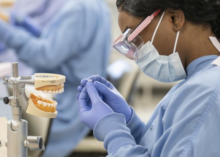 Dental assisting student works on a model of teeth.